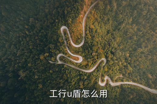 工行u盾怎么用