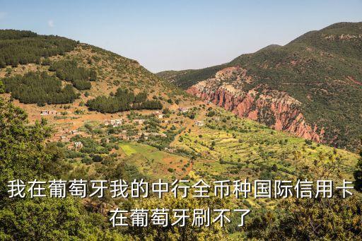 我在葡萄牙我的中行全幣種國際信用卡在葡萄牙刷不了
