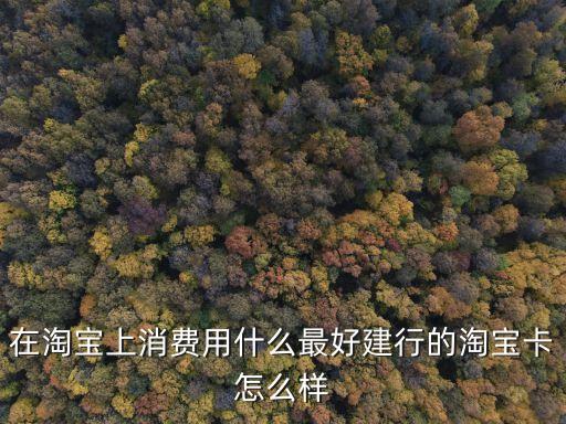 在淘寶上消費(fèi)用什么最好建行的淘寶卡怎么樣
