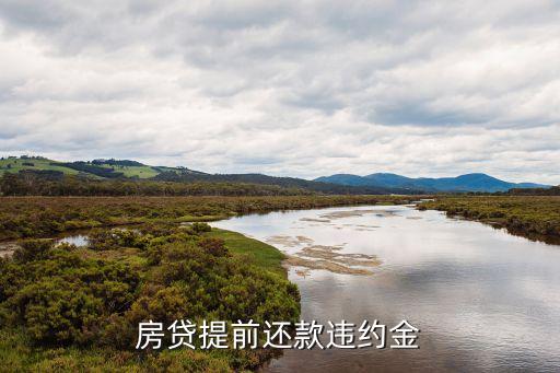 商業(yè)貸款提前還貸 怎么收違約金，另外 是否已經還了一年以上貸款提前還款時不收違約金