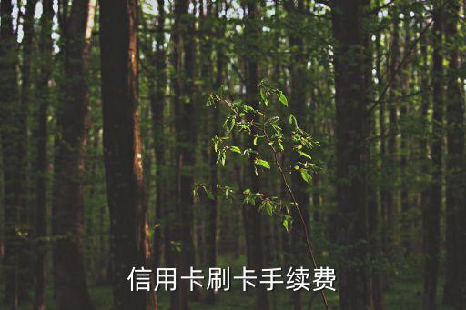 信用卡刷卡手續(xù)費(fèi)