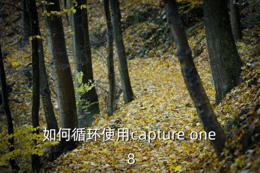 如何循環(huán)使用capture one 8