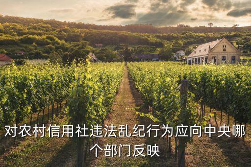 怎么投訴當?shù)匦庞蒙纾鯓油对V信用社