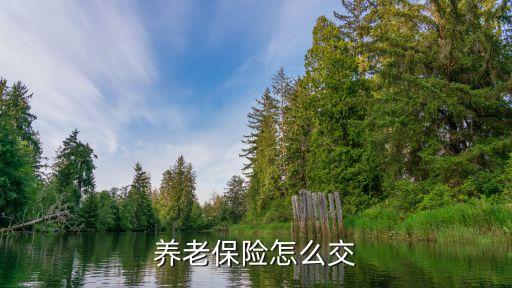 養(yǎng)老保險怎么交