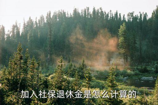 加入社保退休金是怎么計算的