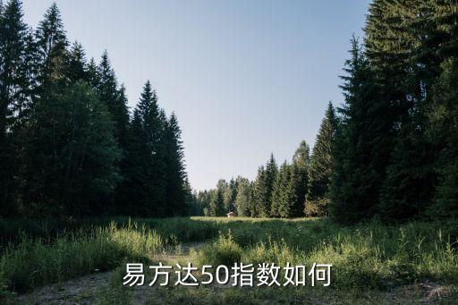 易方達50基金怎么樣，請問易方達50怎樣
