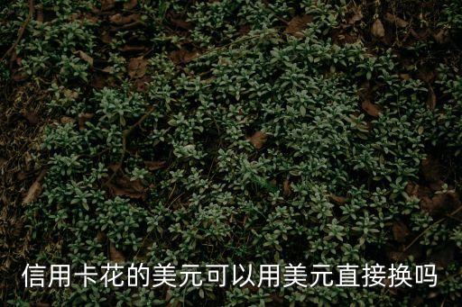 信用卡花的美元可以用美元直接換嗎