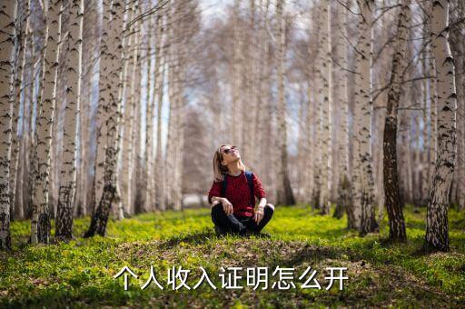 個(gè)人薪金收入證明怎么開，工資收入證明怎么開
