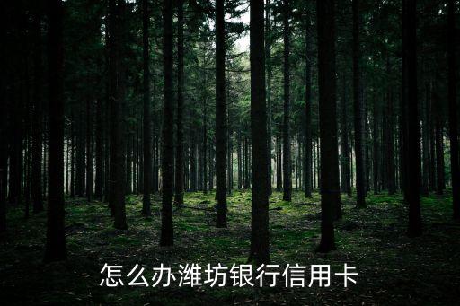 怎么辦濰坊銀行信用卡