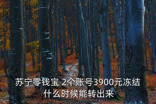 蘇寧零錢(qián)寶 2個(gè)賬號(hào)3900元凍結(jié) 什么時(shí)候能轉(zhuǎn)出來(lái)