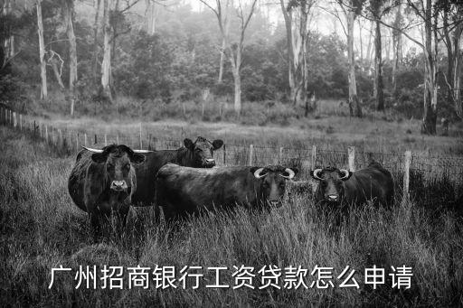 廣州招商銀行工資貸款怎么申請(qǐng)