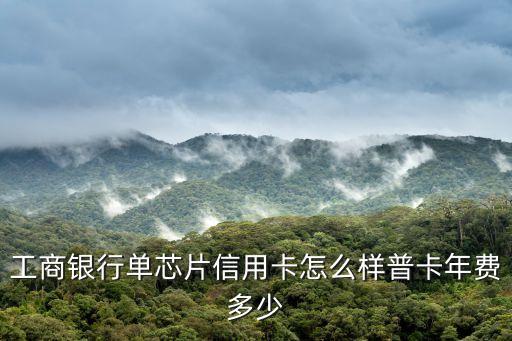 工行單芯片卡怎么樣，工商銀行的工銀單芯片信用卡和牡丹借貸合一卡牡丹人民幣貸記卡哪