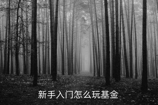 怎么買基金新手入門，新手如何購買基金