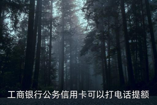 工商銀行公務(wù)信用卡可以打電話提額