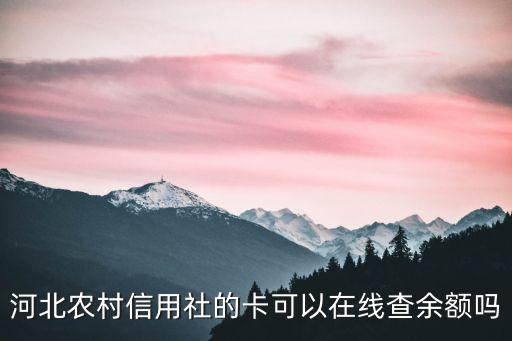 河北農(nóng)村信用社的卡可以在線查余額嗎