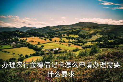 辦理農(nóng)行金穗借記卡怎么申請辦理需要什么要求