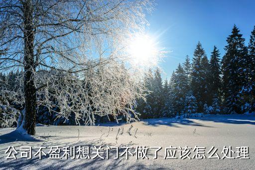 公司不盈利想關(guān)門不做了應(yīng)該怎么處理