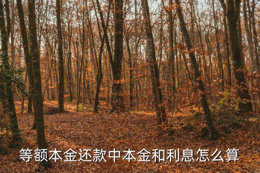 等額本金還款中本金和利息怎么算