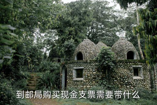 到郵局購買現(xiàn)金支票需要帶什么