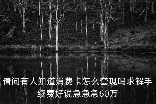 請問有人知道消費(fèi)卡怎么套現(xiàn)嗎求解手續(xù)費(fèi)好說急急急60萬