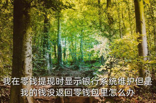 銀行系統(tǒng)維護(hù)怎么還款，用支付寶錢包信用卡還款怎么顯示系統(tǒng)維護(hù)