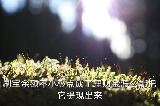 寶點理財怎么提現(xiàn)一次能贖回多少，支付寶里的理財賣入后提現(xiàn)如何提