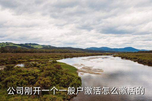 公司剛開一個一般戶激活怎么激活的