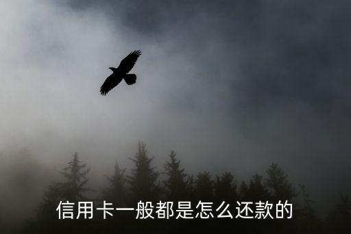 一張信用卡有怎么還款方式，信用卡還款有哪些途徑