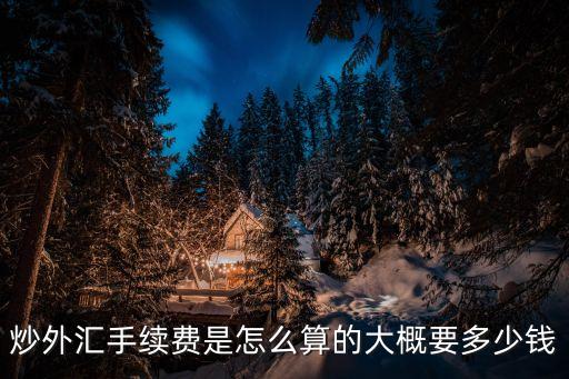 炒外匯手續(xù)費是怎么算的大概要多少錢
