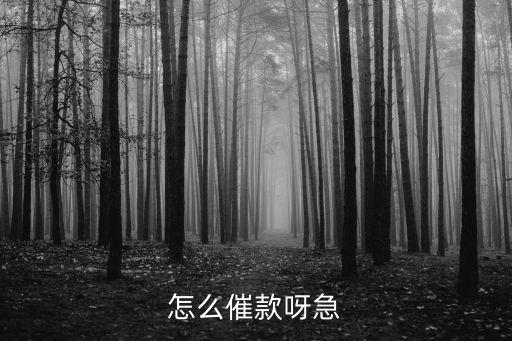 怎么催款呀急