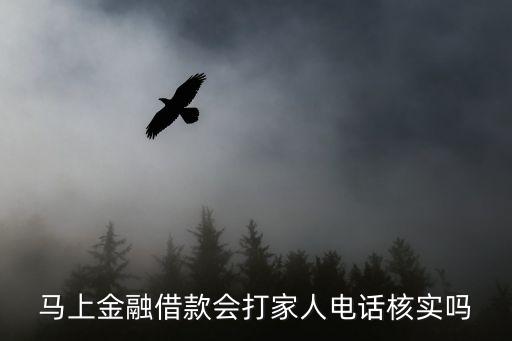 馬上金是怎么審核的，馬上金融借款會(huì)打家人電話核實(shí)嗎