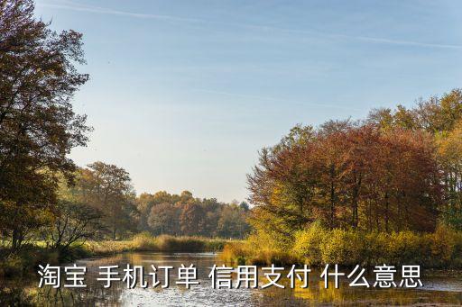 淘寶 手機(jī)訂單 信用支付 什么意思