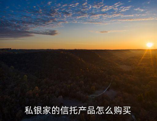 私銀家的信托產(chǎn)品怎么購(gòu)買(mǎi)