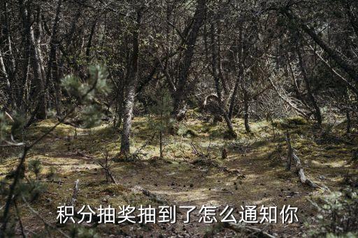 微信公眾號(hào)積分抽獎(jiǎng)怎么查看中獎(jiǎng)，會(huì)員積分抽獎(jiǎng)怎么看自己是否中獎(jiǎng)了我自己也不會(huì)看麻煩會(huì)