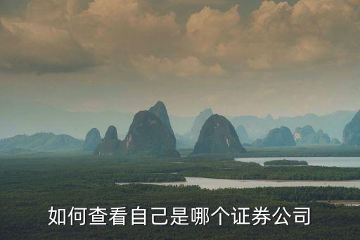 如何查看自己是哪個(gè)證券公司