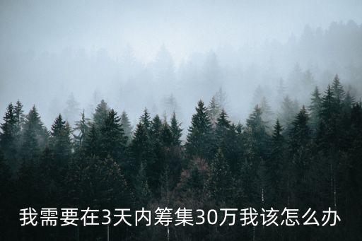 急需30萬怎么辦，我需要在3天內(nèi)籌集30萬我該怎么辦