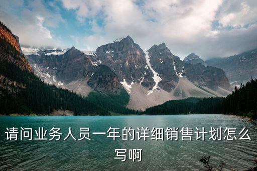 請(qǐng)問業(yè)務(wù)人員一年的詳細(xì)銷售計(jì)劃怎么寫啊
