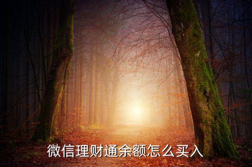 微信理財(cái)通余額怎么買(mǎi)入
