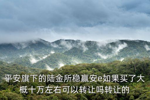 平安旗下的陸金所穩(wěn)贏安e如果買了大概十萬左右可以轉(zhuǎn)讓嗎轉(zhuǎn)讓的