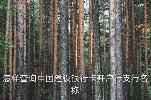 怎樣查詢中國建設(shè)銀行卡開戶行支行名稱