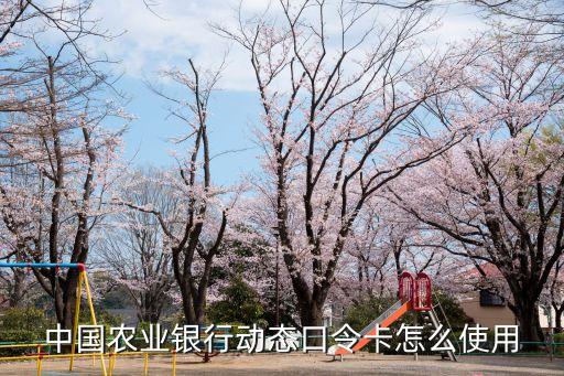 中國農(nóng)業(yè)銀行動態(tài)口令卡怎么使用