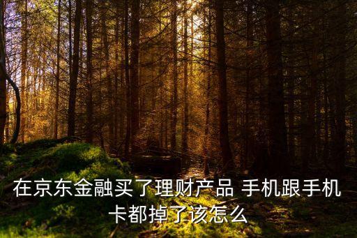 在京東分期買的電話丟了怎么辦，在京東金融買了理財產(chǎn)品 手機(jī)跟手機(jī)卡都掉了該怎么