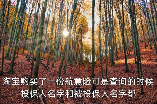 買到假航意險(xiǎn)怎么辦，淘寶購買了一份航意險(xiǎn)可是查詢的時(shí)候投保人名字和被投保人名字都