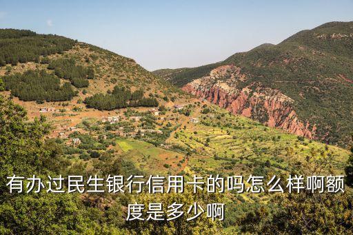 民生銀行visa標(biāo)準(zhǔn)白金信用卡怎么樣，民生銀行VISA標(biāo)準(zhǔn)版白金信用卡額度一般是多少