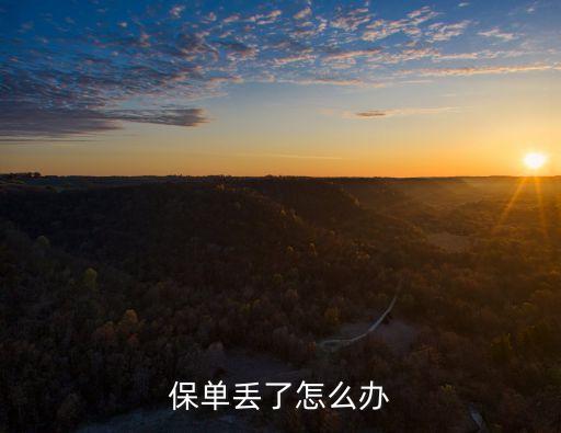 保單丟了怎么辦