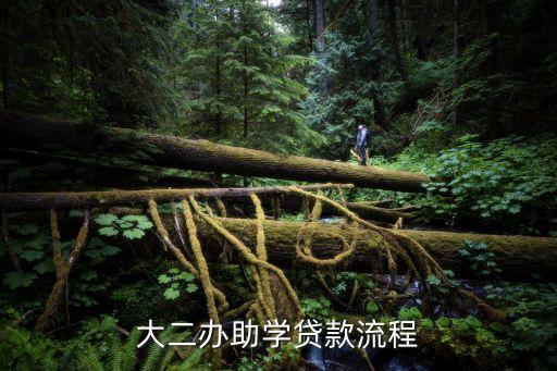 大二辦助學(xué)貸款流程
