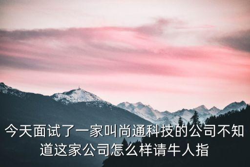 今天面試了一家叫尚通科技的公司不知道這家公司怎么樣請(qǐng)牛人指