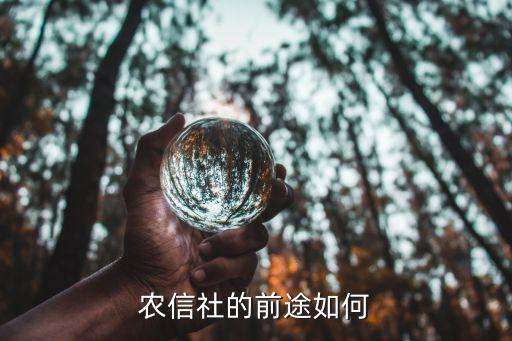 農(nóng)信社發(fā)展前景怎么樣，農(nóng)村信用社的發(fā)展前景怎樣