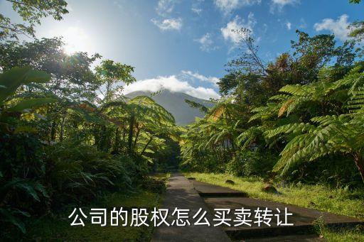 公司的股權(quán)怎么買賣轉(zhuǎn)讓