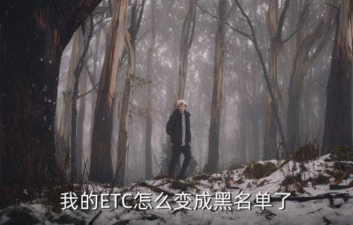 etc怎么顯示黑名單，我的ETC為什么不能用了 顯示黑名單透支誰能告訴我一下是怎么